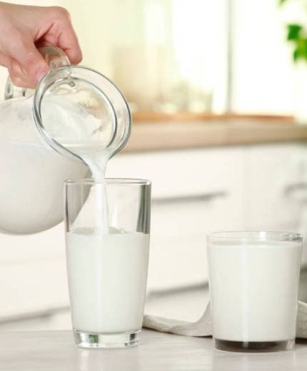 Çayırova Süt ve Süt Ürünleri